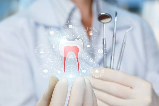 Best Full Mouth Reconstruction  in Winnfield, LA